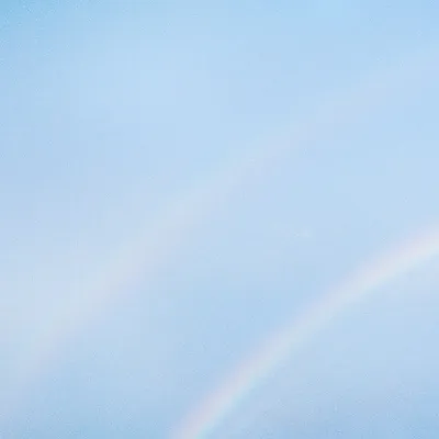 Album cover from Turnstile's "NEVER ENOUGH"